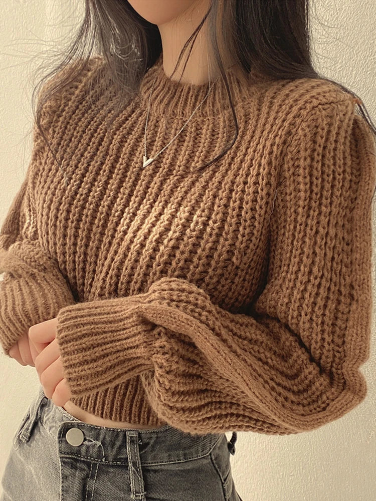 Vintage Lantern Sleeve Sweater